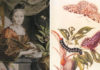 Maria Sibylla Merian, la exploradora poco conocida