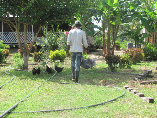 Campesino desplazado