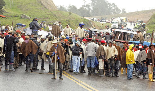 Papicultores 1