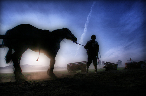 HELADAS Y AMANECER