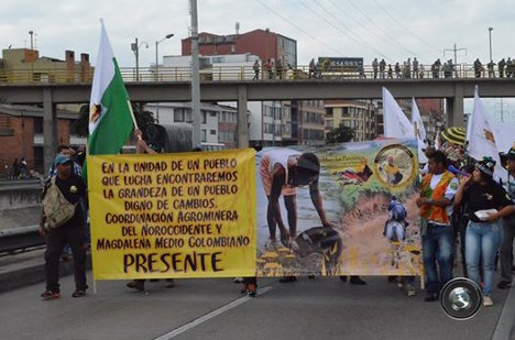 cahucopana