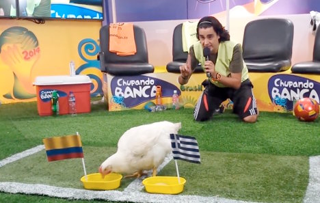 Presentadora farandula 1