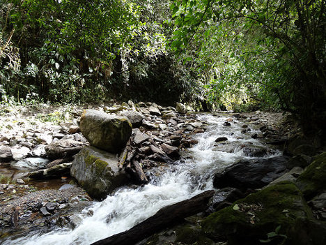 medium_14842279571