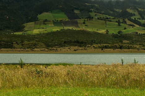 medium_15337614115