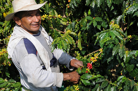 cafe colombia