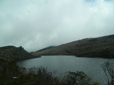 medium_9559094403