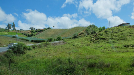 Campo 2 - Paisaje rural