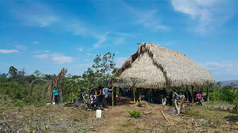 Lento proceso de restitución de tierras en el Tolima