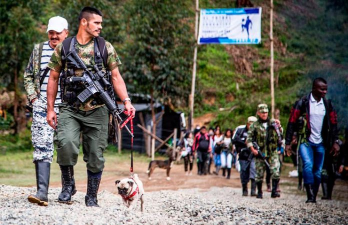 Guerrillero del Cauca con su perro. Foto: Boris Guevara