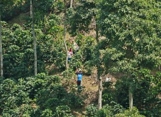 Ley de tierras: un mico de la implementación