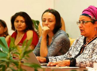 Feminismo insurgente