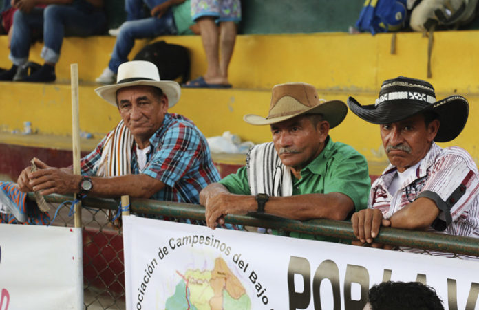 campo