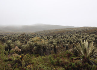 Trasteo de votos hacia Sumapaz