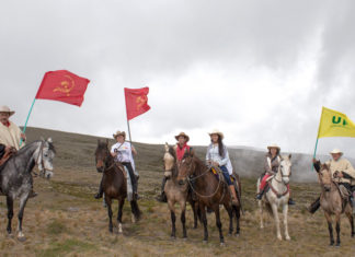 Festival de VOZ campesino