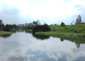 La importancia de El Burrito en Bogotá