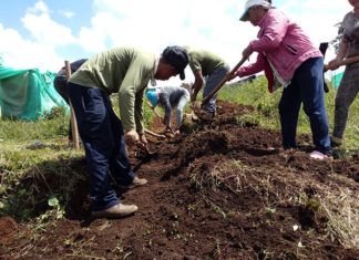 Popayán: Un ecobarrio fruto del trabajo colectivo