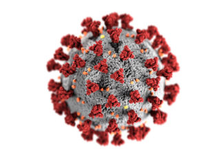 ¿Qué son los coronavirus?