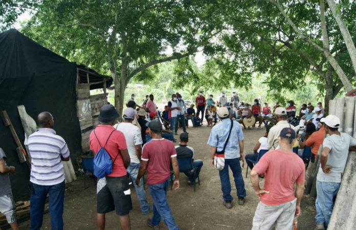 turbana2