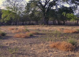 Proyecto extractivista enciende las alarmas en el sur del Tolima