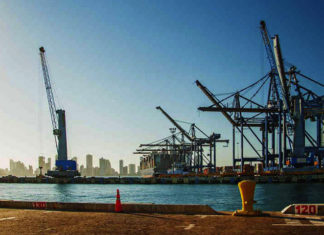 ¿Reactivación o rebote económico?