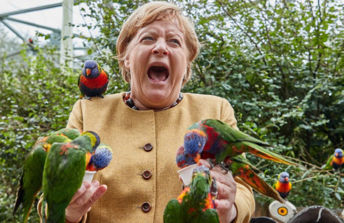 Internacional Merkel