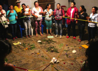 Las campesinas y los cultivos de uso ilícito