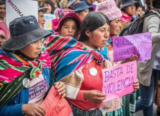 Feminismos desde el Abya Yala