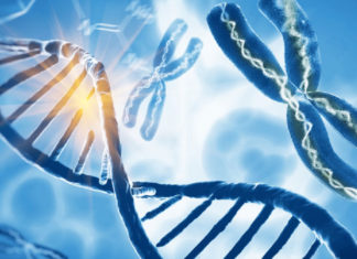 La estela del genoma humano