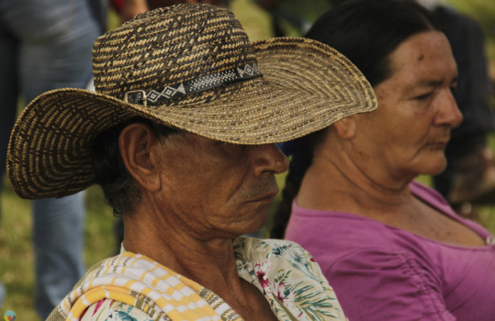 Campesinos