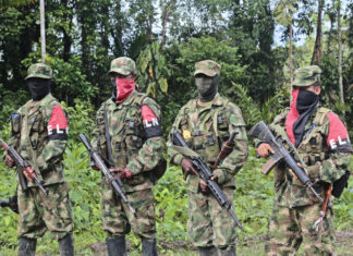 ELN, errores y lecciones