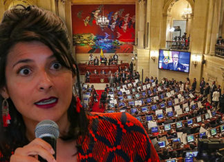 Decrecimiento económico: Los argumentos de la ministra Irene Vélez