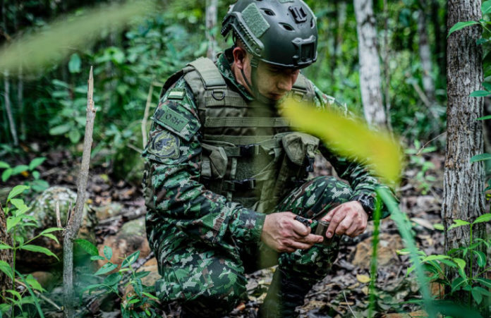 Nuevo Uniforme