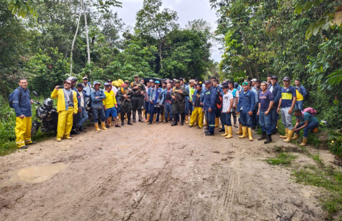 Trabajadores la Palma 2