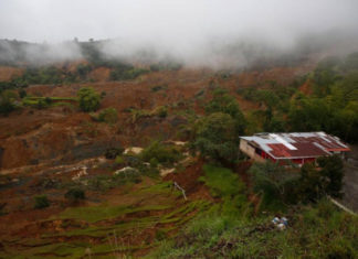 Rosas y espinas del suroccidente