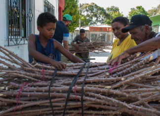 300 familias reciben vástiga de yuca en San Zenón