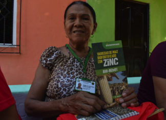 Comunidades reciben semillas de maíz blanco