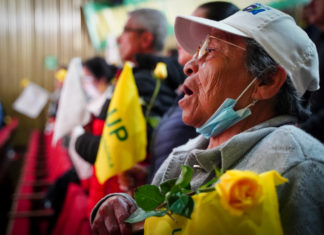 Unión Patriótica, fuerza del cambio