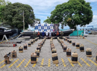 El empresariado narco y los eslabones débiles