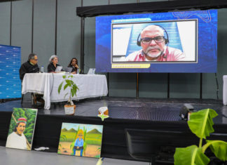 Verdades y silencios de Mancuso