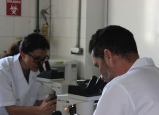 Reindustrialización, objetivo prioritario en el PND