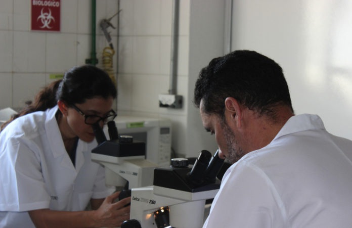 Investigacion universitaria
