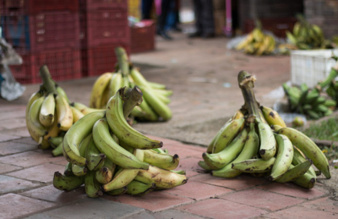 Alimentos, platano verde-7
