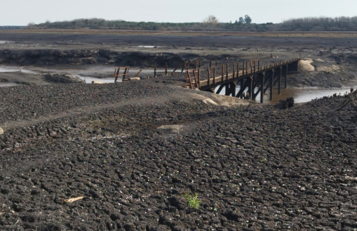 Crisis del agua en Uruguay-14