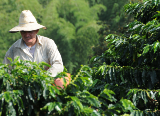 ¿El cambio necesita un golpe de timón en lo económico?