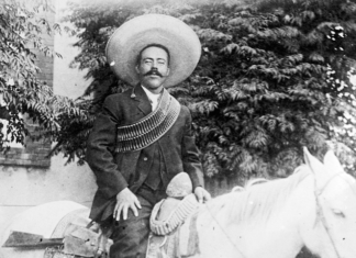 Pancho Villa: El patriota, el organizador