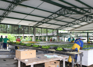 Urabá, ¿enclave o polo de desarrollo?