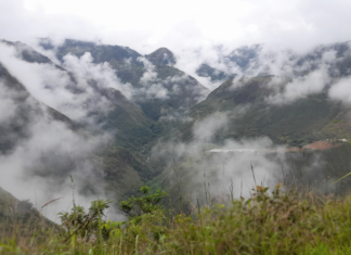 La batalla del águila y la serpiente