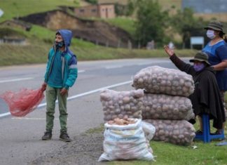 El nuevo IDEMA que fortalece la reforma agraria